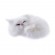 Б0052814 Ночник - светильник светодиодный ЭРА NLED-467-1W-W котик белый