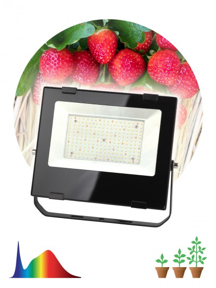 Б0047876 Фитопрожектор для растений светодиодный ЭРА FITO-100W-Ra90-LED для цветения и плодоношения полного спектра 100 Вт