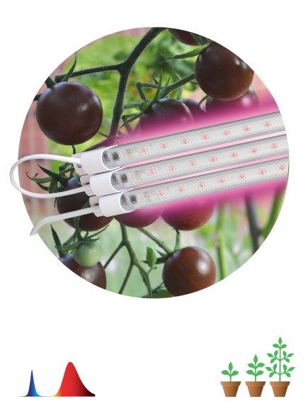 Б0050924 Модульный светильник для растений ЭРА FITO-3х10W-LINE-RB90 красно-синего спектра 30 Вт