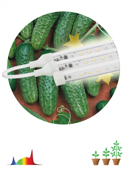 Б0049315 Модульный светильник для растений ЭРА FITO-3х10W-LINE-Ra90 полного спектра 30 Вт
